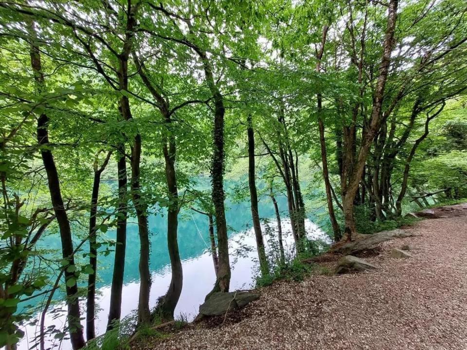 Casa Bosco Διαμέρισμα Levico Terme Εξωτερικό φωτογραφία