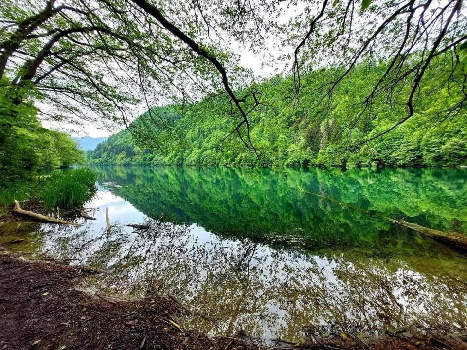 Casa Bosco Διαμέρισμα Levico Terme Εξωτερικό φωτογραφία