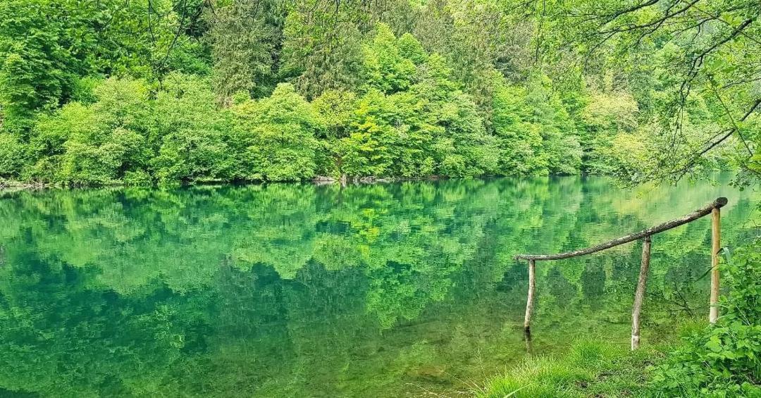 Casa Bosco Διαμέρισμα Levico Terme Εξωτερικό φωτογραφία
